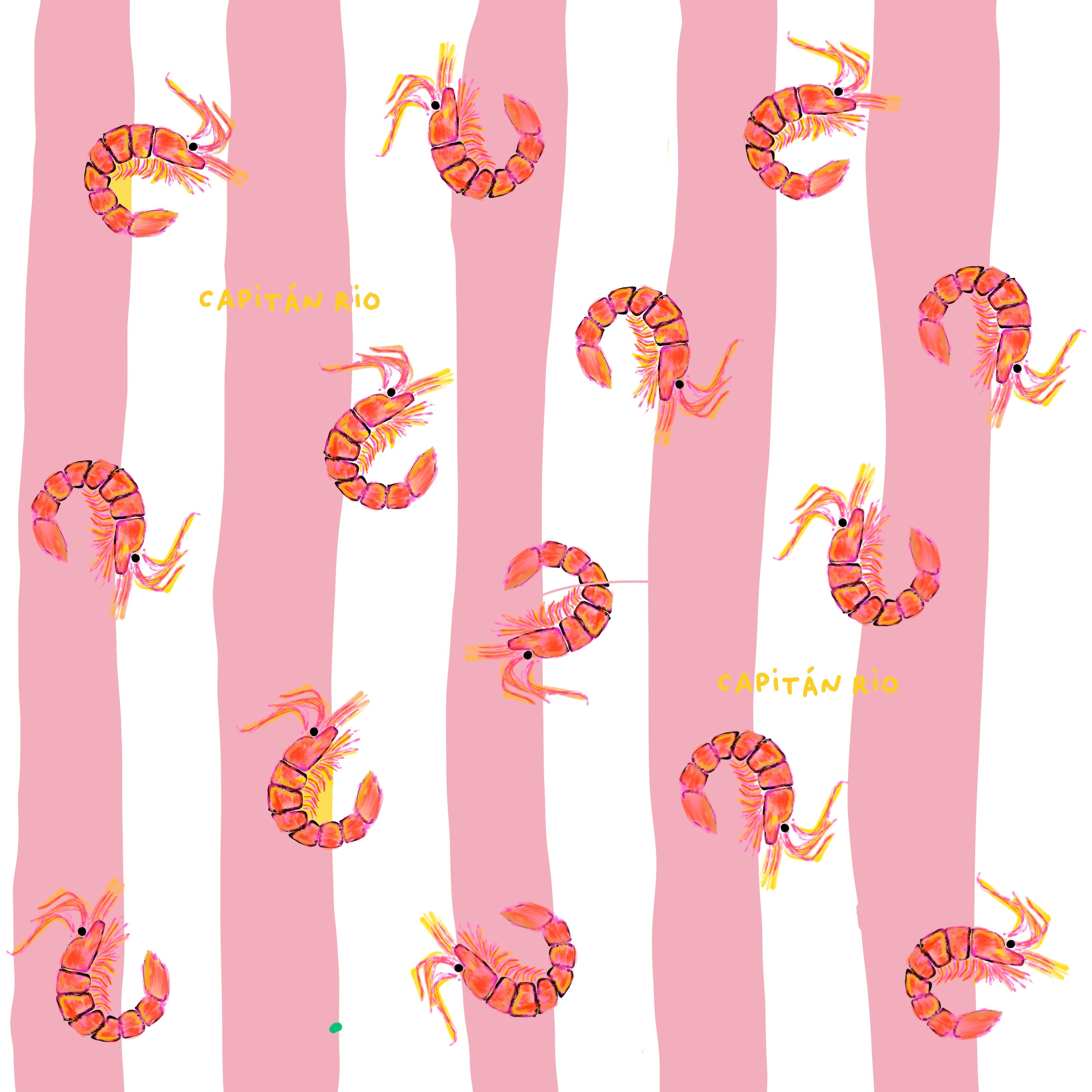 SET PIJAMA CAMARON QUE SE DUERME